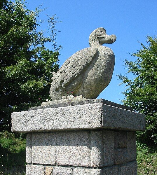 File:Dodo, Jersey Zoo.jpg