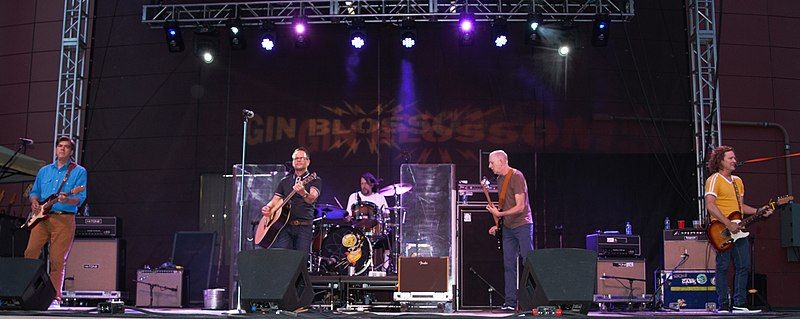 File:GinBlossoms2018.jpg