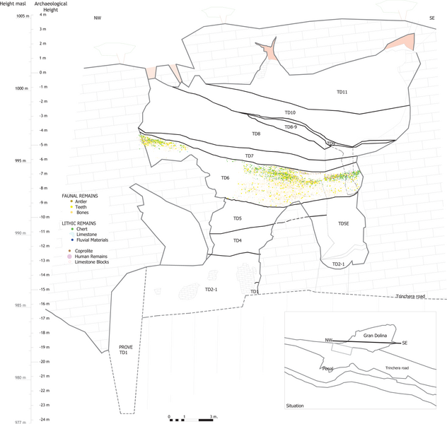 File:Gran Dolina TD6.png