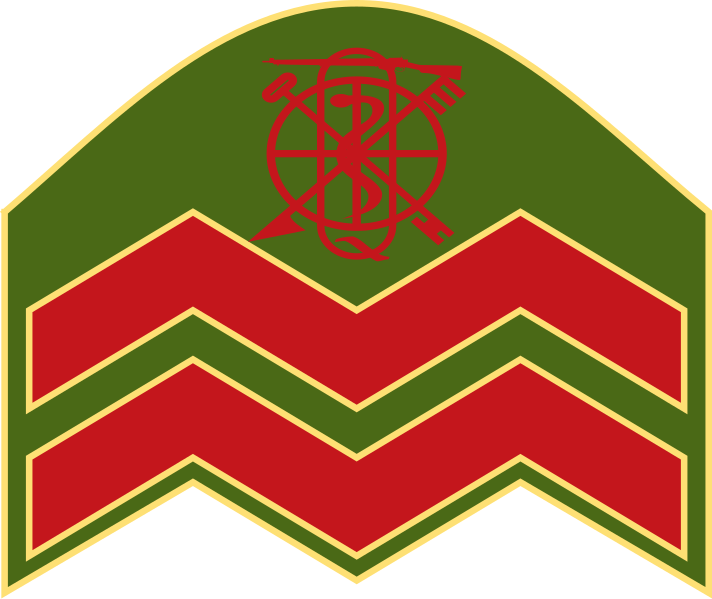 File:Ireland-Army-OR-6 (1949).svg