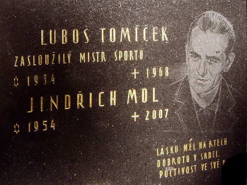 File:Luboš Tomíček grave.jpg