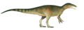 Megaraptor