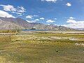 View of Pangong Tso from Merak village (October 2016)