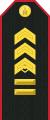 Mongolian Army-SGM-service