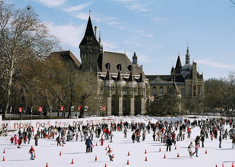 File:Mujegpalya Ice Rink.jpg