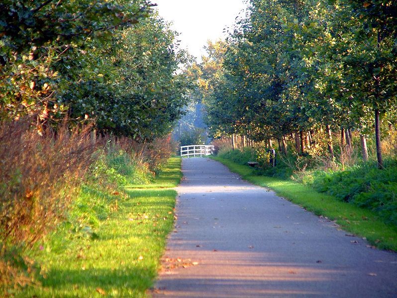 File:NL-Uden-Zuid-Groen op zuid-Fietspad.jpg