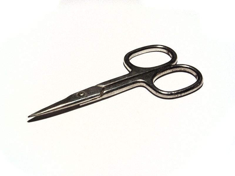 File:Nail Scissors.jpg