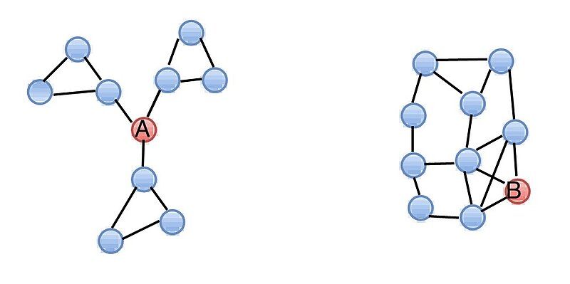 File:Network Structure.jpg