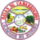 Official seal of Cabarroguis