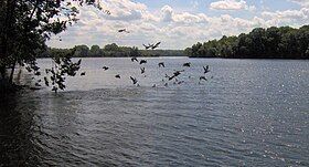 Old Hickory Lake at Bledsoe Creek State Park