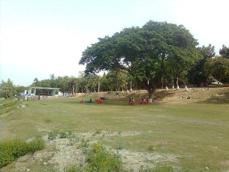 File:Open field jasimuddin.jpg