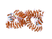 2iae: Crystal structure of a protein phosphatase 2A (PP2A) holoenzyme.