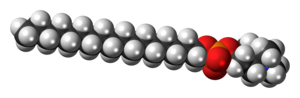 Space-filling model of the perifosine zwitterion