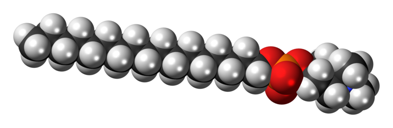 File:Perifosine-zwitterion-3D-spacefill.png