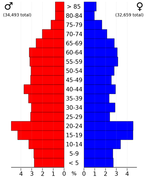 File:RiceCountyMn2022PopPyr.png