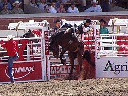 A cowboy in a black vest and hat struggles to hold onto his horse as it bucks in midair.