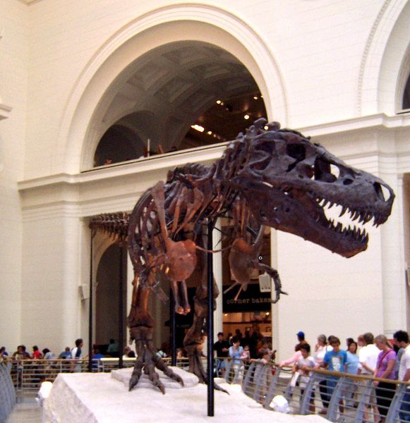 File:TRex2.jpg