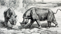 Original image, Megacerops