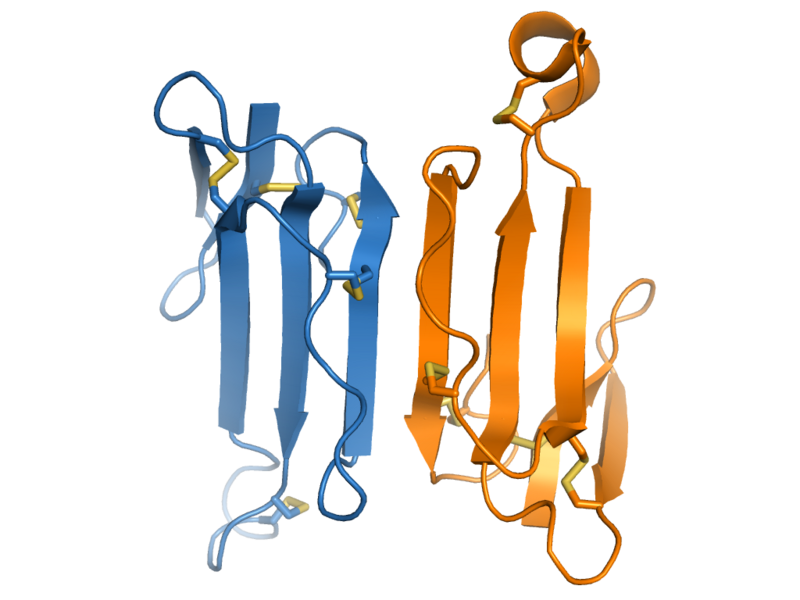 File:1KBA dimer.png