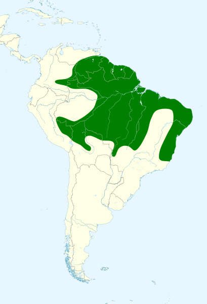 File:Arremon taciturnus map.svg