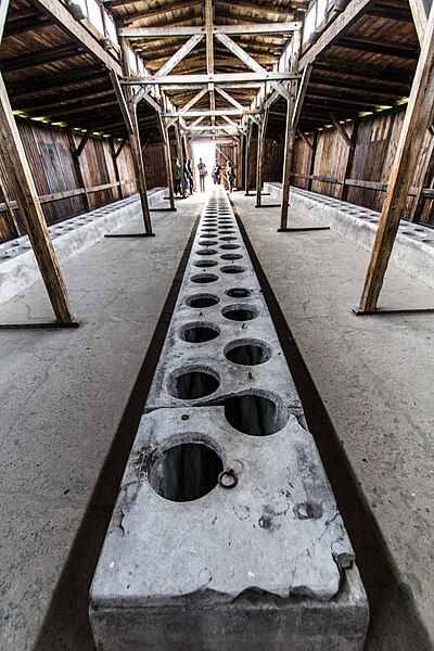 File:Auschwitz-Birkenau latrine.jpg