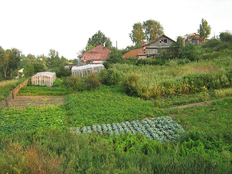 File:C0097-Fedyakovo-gardens.jpg