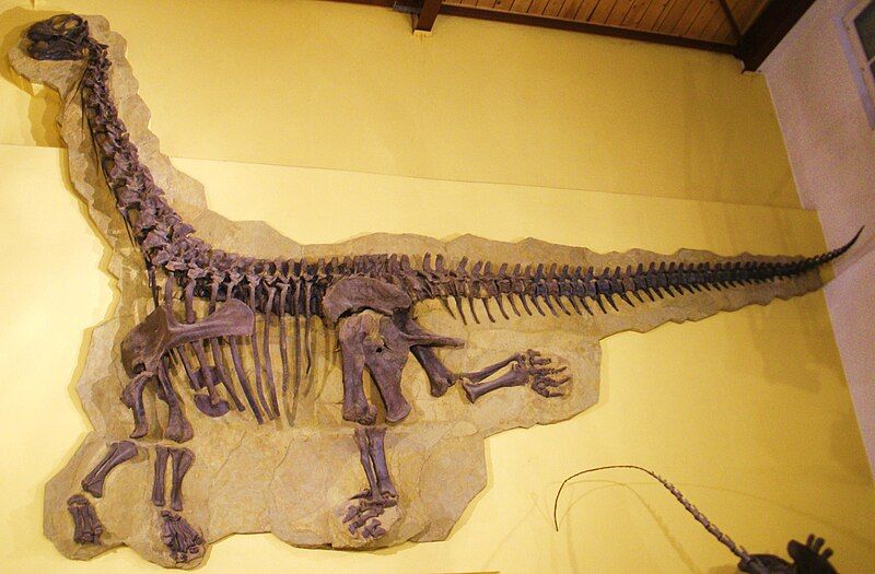 File:Cathetosaurus skeleton 1.jpg