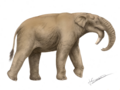 Deinotherium