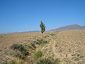 On the plateau between the north shore of Lake Issyk-Kul and the Küngöy Ala-Too Range (near Tamchy)