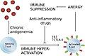 Chronic antigenemia as in HIV infection leads to immune suppression.