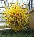 A glass sculpture by Dale Chihuly, The Sun, at the "Gardens of Glass" exhibition in Kew Gardens, London