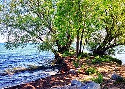 Hamlin Beach state park on Lake Ontario north of the city