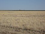 Cimarron County near Boise City. (2009)