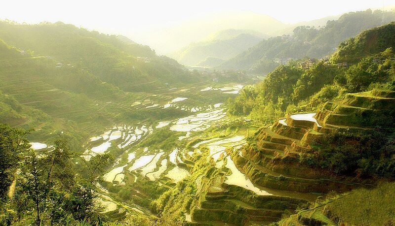 File:Ifugao Rice Terraces.jpg