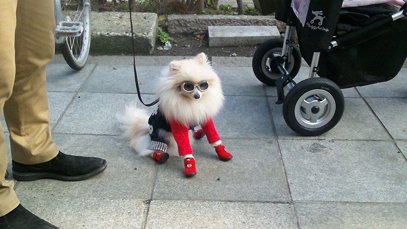 File:Japanese kawaii dog.jpg