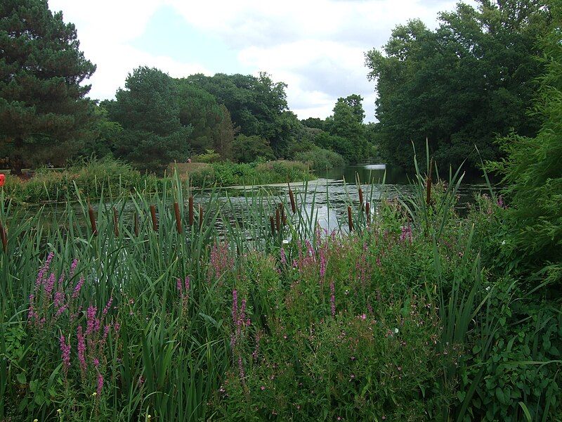 File:Kew Gardens lake.jpg