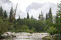 Habitat in British Columbia