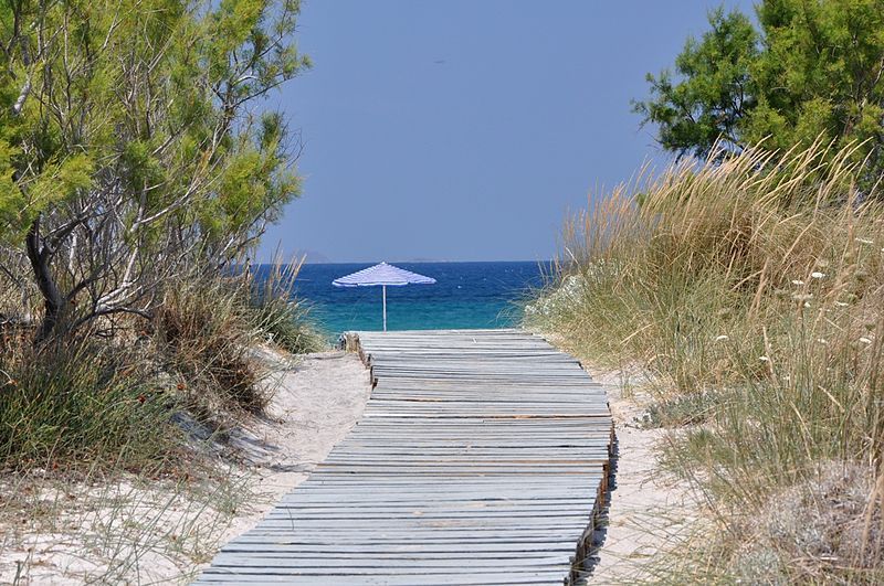 File:Lambi boardwalk.jpg