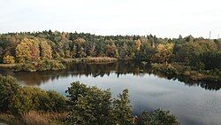 View of lake