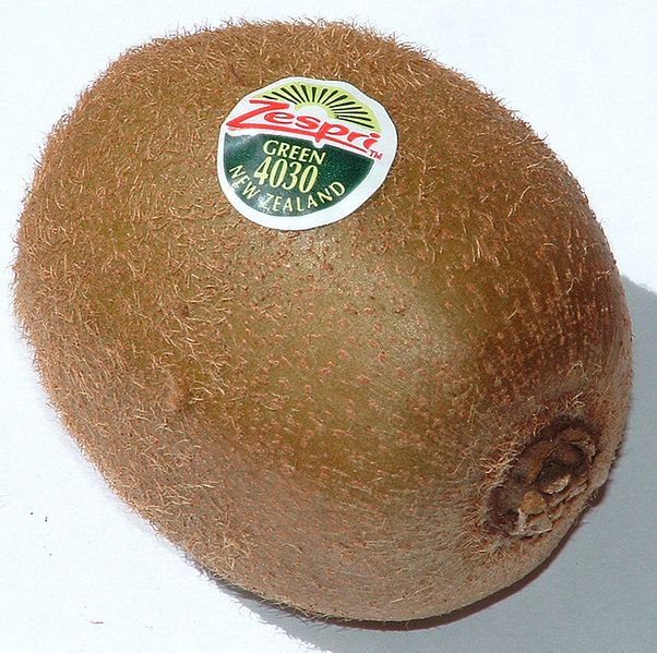 File:Mature kiwifruit.JPG