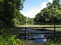 Rhine water meadows Nature reserve area