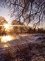 Nevėžis (river) in winter