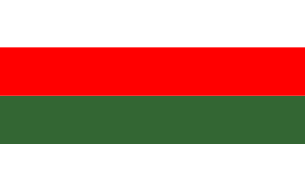 File:POL Piła flag.svg