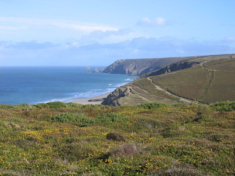 File:Porthtowan+Cliffs.JPG