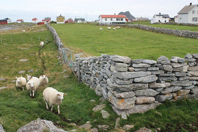 File:Steingjerde Røst Lofoten.jpg