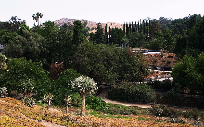 File:UCR Botanic Gardens.jpg