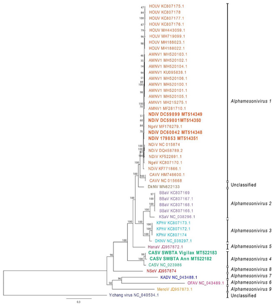 File:Viruses-12-01159-g001.webp