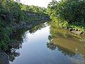 Yellow Medicine River in Wood Lake Township