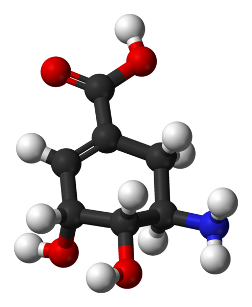 File:Aminoshikimic-acid-3D-balls.png