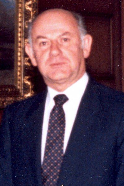 File:Andrés Bianchi 1990.jpg